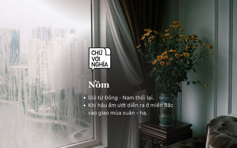 Sàn nhựa có bị nồm không? Giải pháp chống ẩm hiệu quả cho nhà ở miền Bắc 4 Nồm là gì? Vì sao nó ảnh hưởng đến sàn nhà?